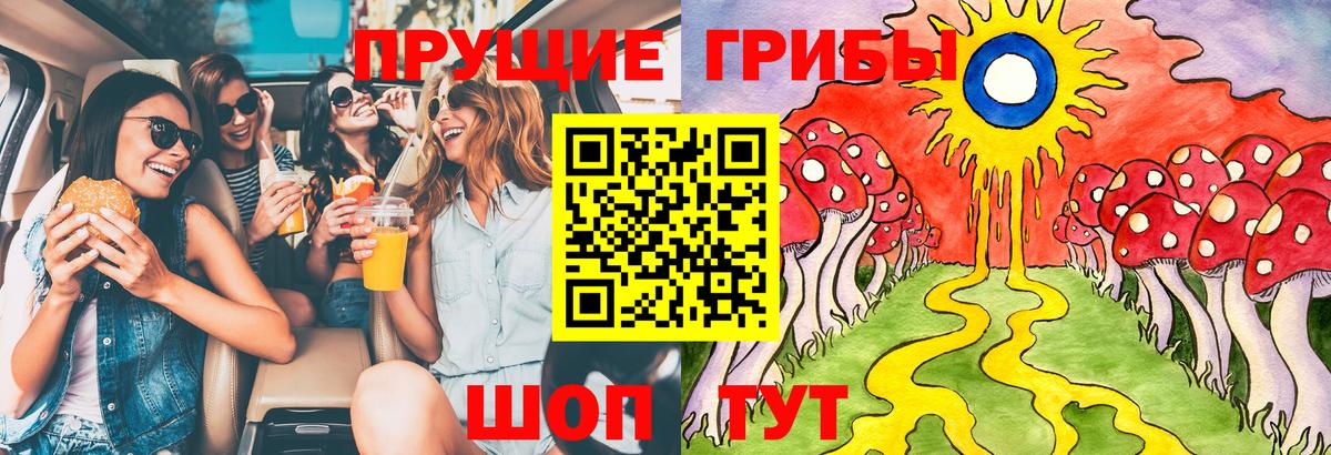 Псилоцибиновые грибы Psilocybe Владикавказ