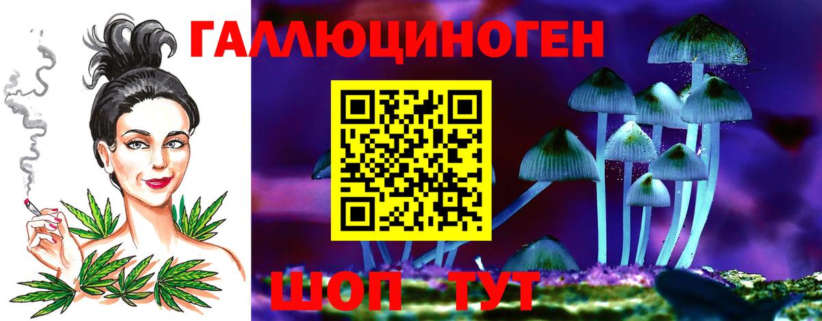 Владикавказ  даркнет сайт  Вход с VPN  Псилоцибиновые грибы прущие грибы 